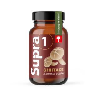 shiitake supra1, słoik preparatu